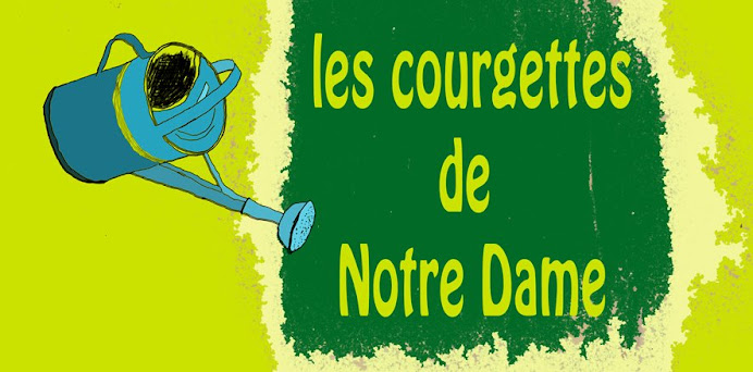 Les courgettes de Notre Dame