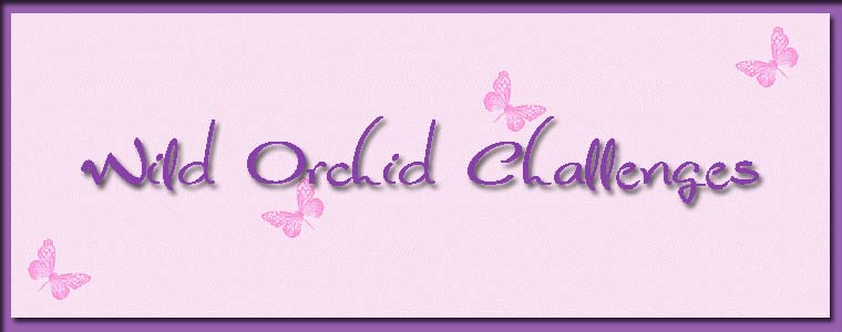 Wild Orchid Challenge