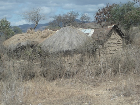 [DSC03096.JPG]