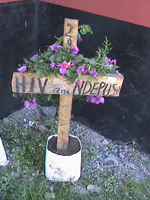 [DSC00103.JPG]