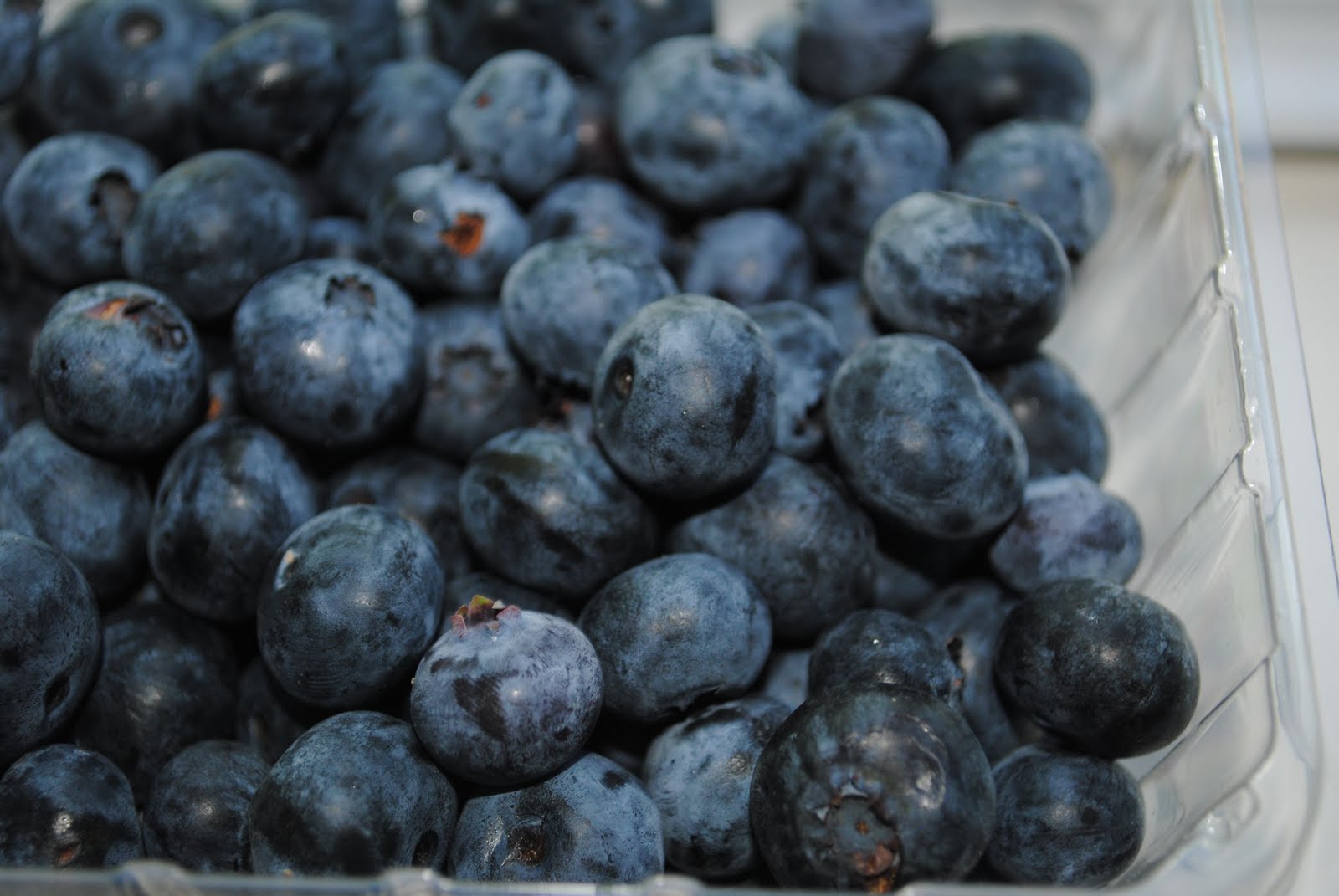 NJ Epicurean Fresh New Jersey Blueberries Emery's