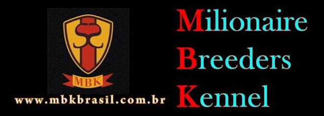 MBK Brasil - Beagle, Schnauzer, Rottweiler - www.mbkbrasil.com.br