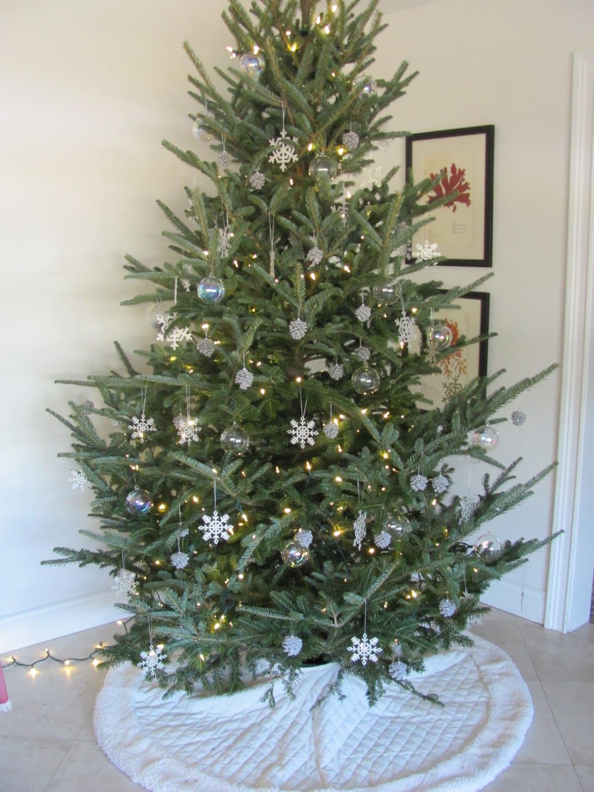 Our Christmas Tree - Beautifully Seaside