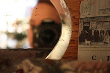 -Dunnisfoto-