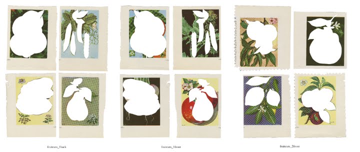 [kindra_fruitcontact2.jpg]