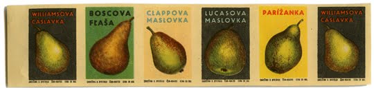 [kindra_matchboxpears.jpg]