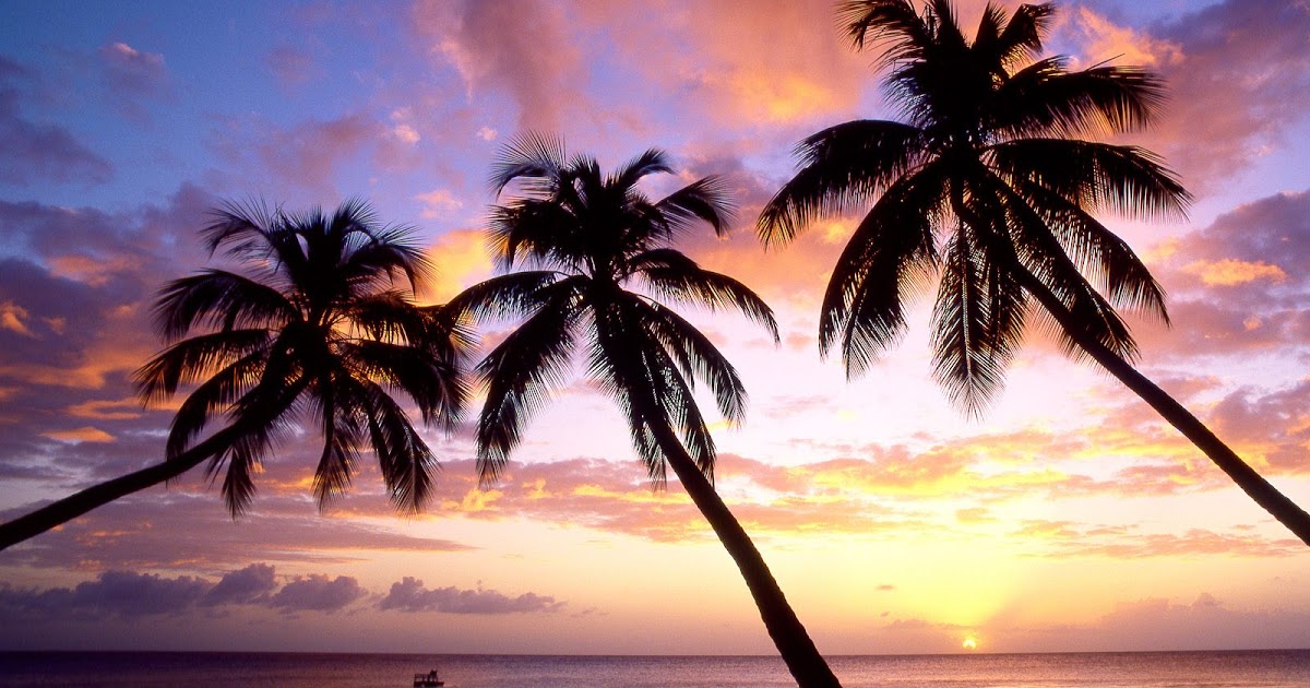 Sun Set Or Sun Rise Wallpapers Free Download Awesome