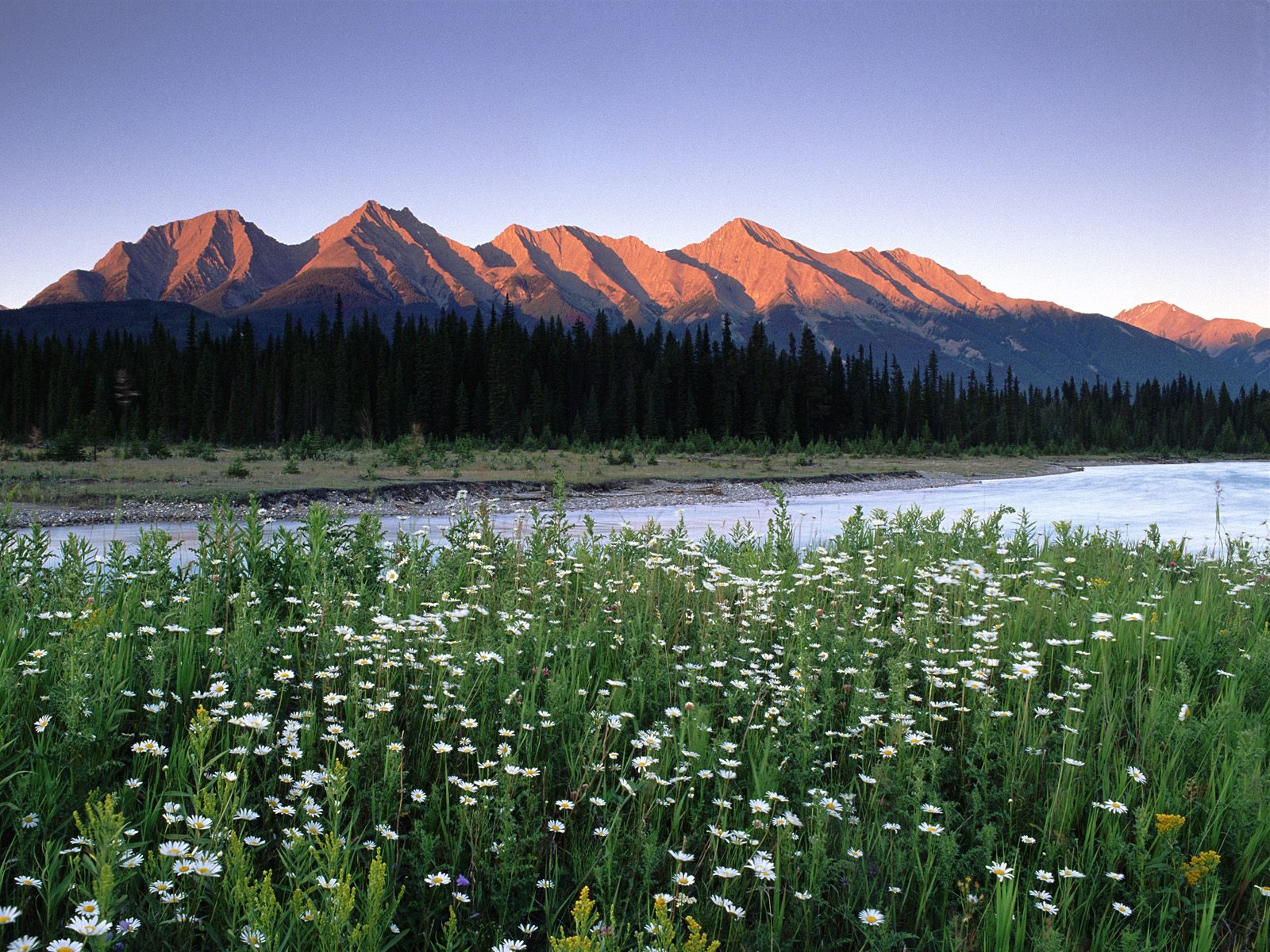 [Rocky+Mountains,+Kootenay+National+Park,+British+Columbia,+Canada.jpg]