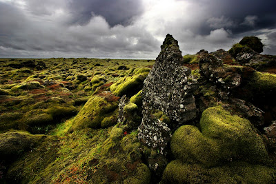 google photo screen saver google photo screen saver