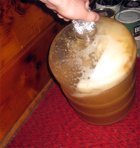 How To Homebrew AllGrain Beer The Mad Fermentationist
