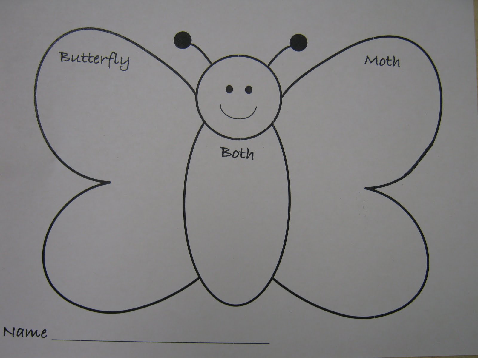 2009-2010 Pre-K "A": BUTTERFLY/MOTH VENN DIAGRAM SEATWORK