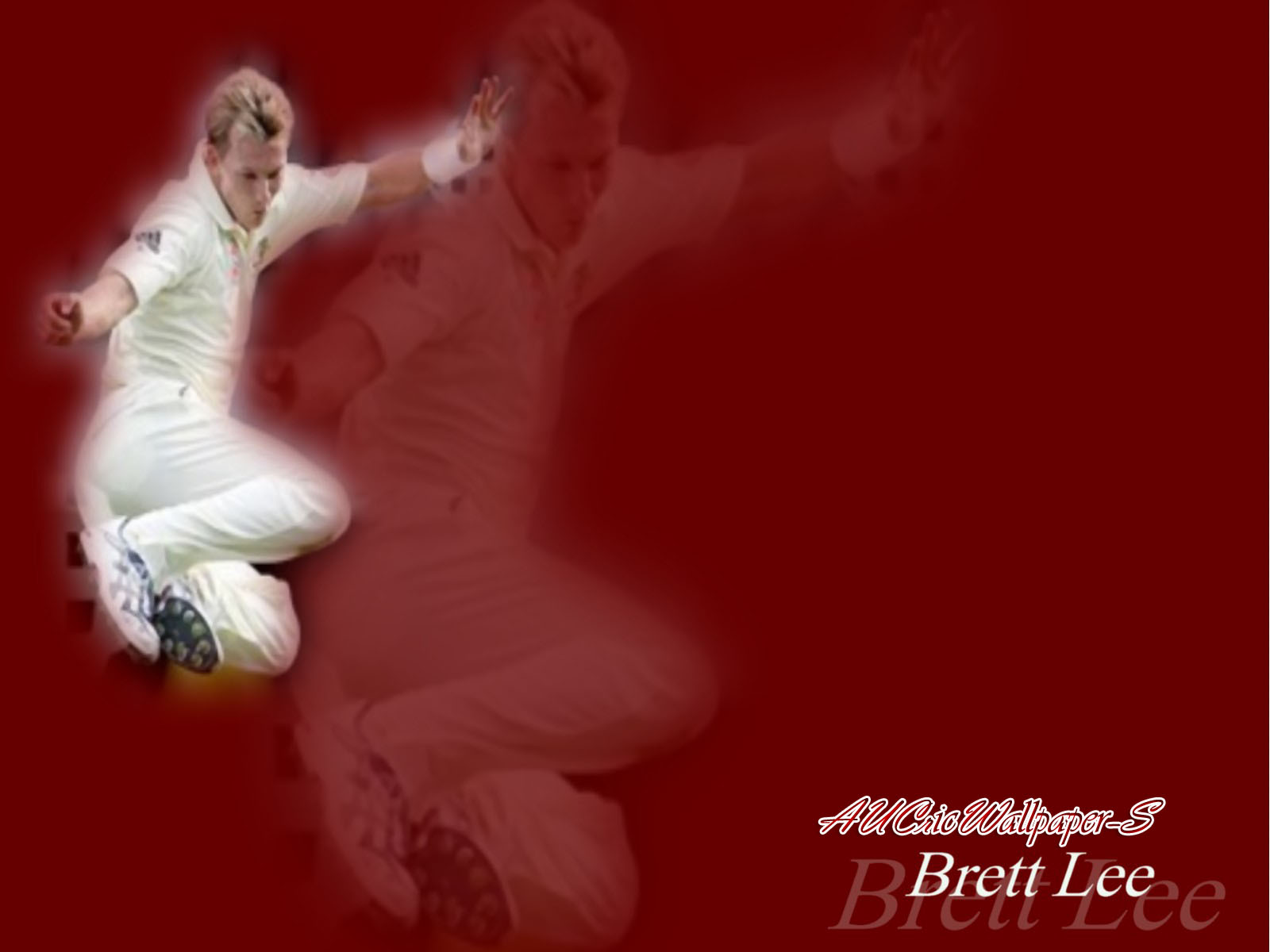 Australian Cricket Team Wallpaper: Brett Lee Wallpapers 6