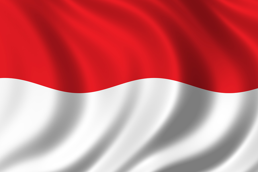 Gambar Bendera Negara Indonesia  GAMBAR BENDERA NEGARA