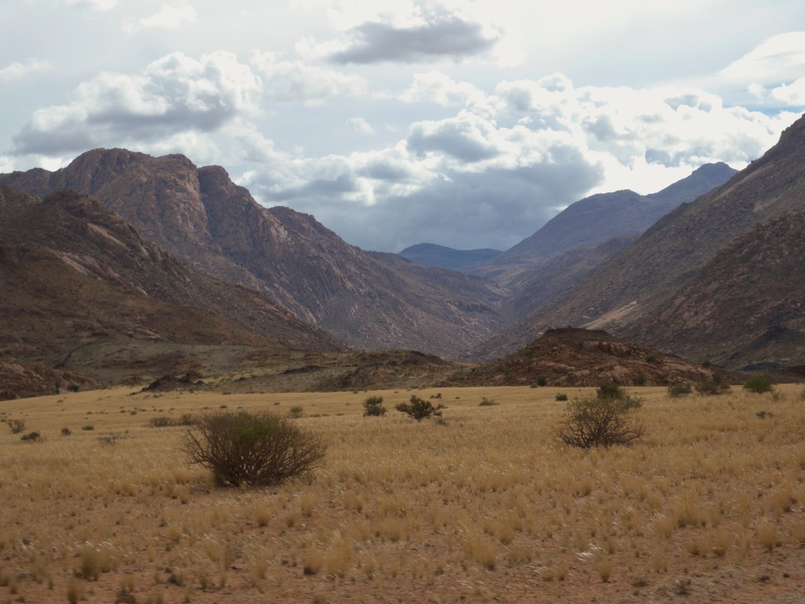 One Big Cat's Diary: Brandberg mountain