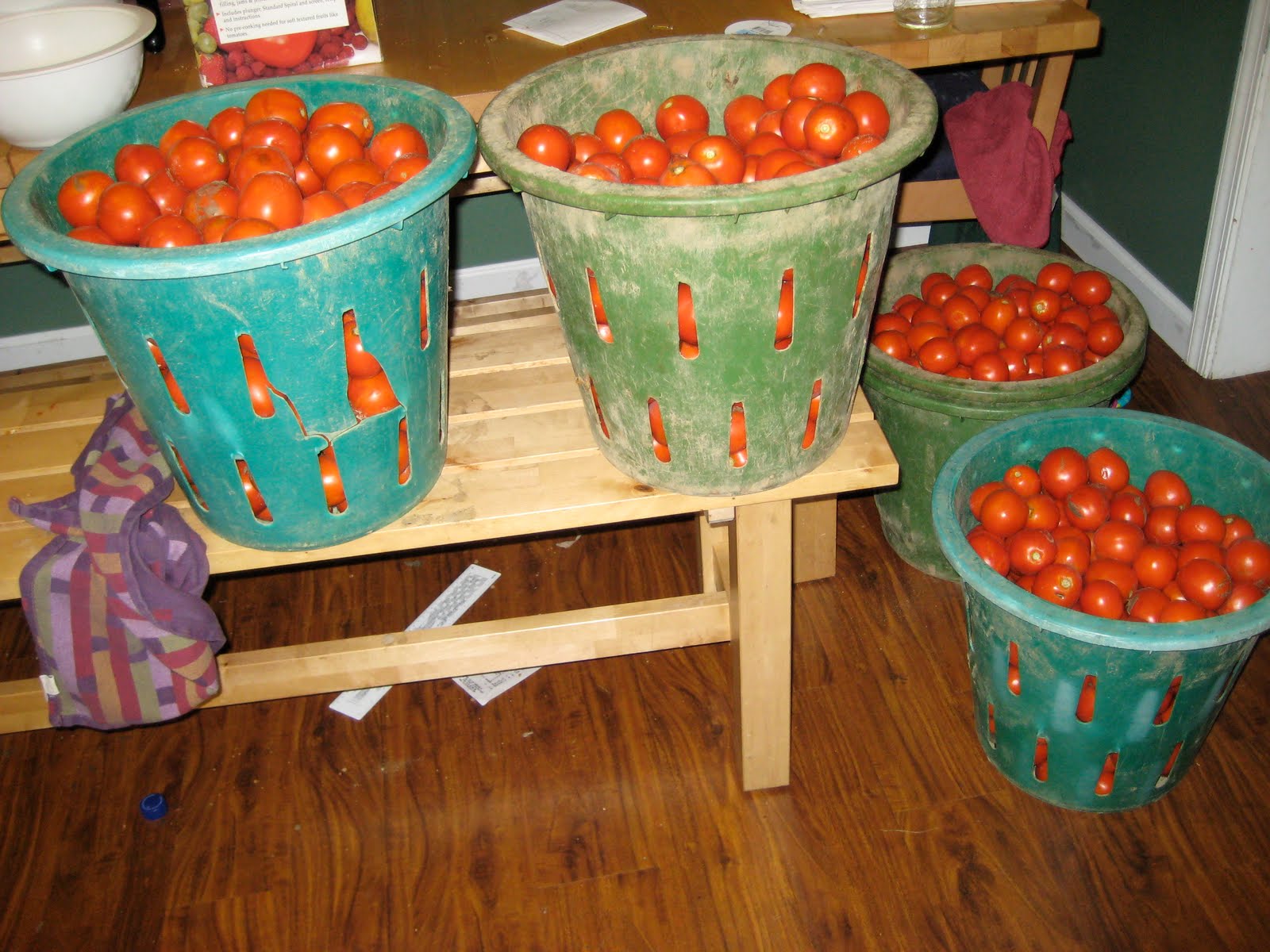 дозаривание томатов. хранение помидоров. сорта томатов для хранения в свежем виде в зиму. помидоры в яичных ячейках. зеленые помидоры в ящике.