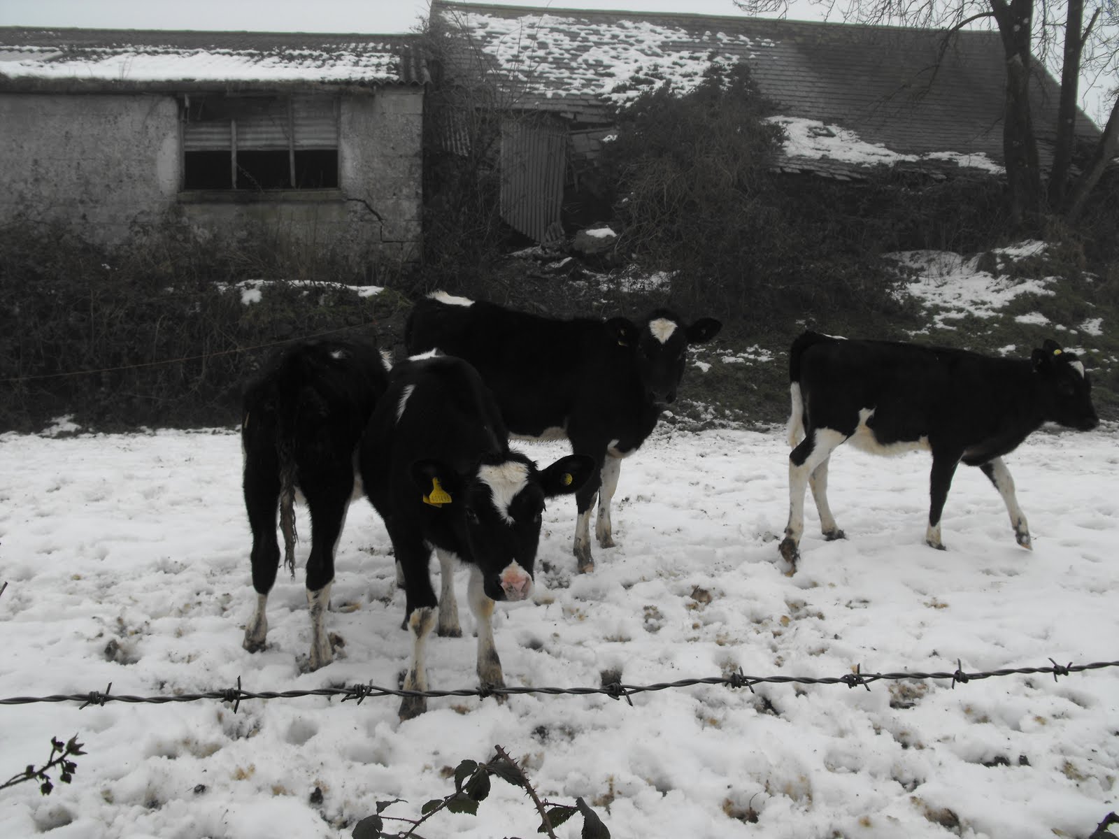 [2010_01142009Septcarewcastle0024.JPG]