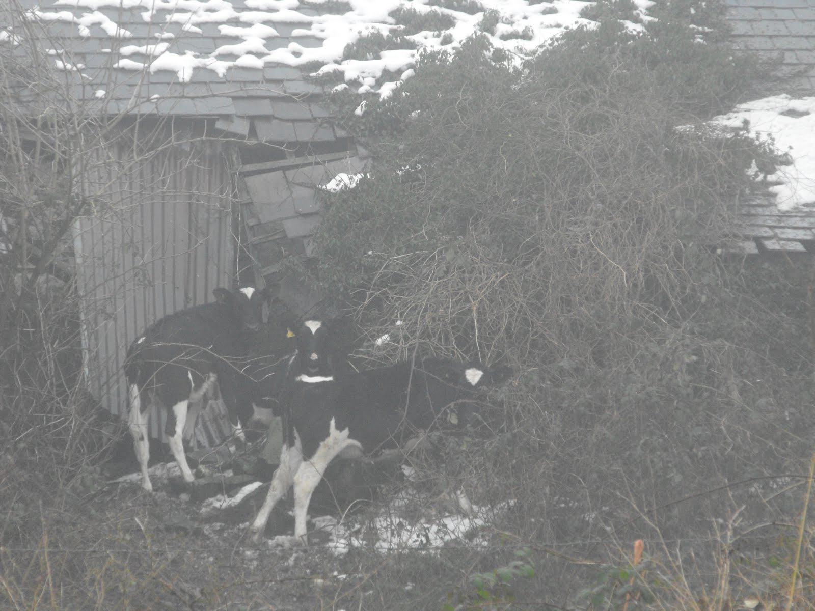 [2010_01142009Septcarewcastle0018.JPG]