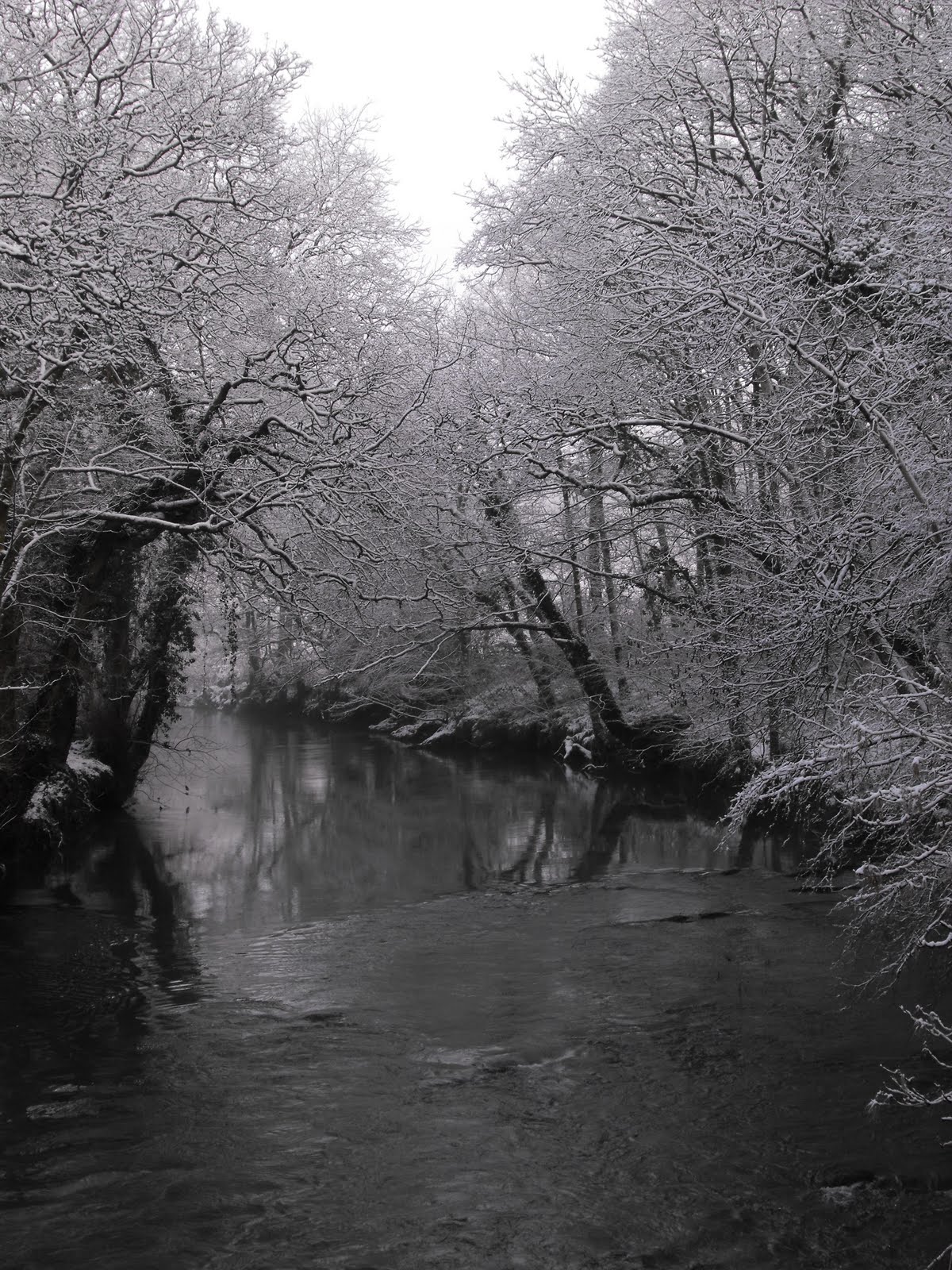 [2010_01022009Septcarewcastle0034.JPG]