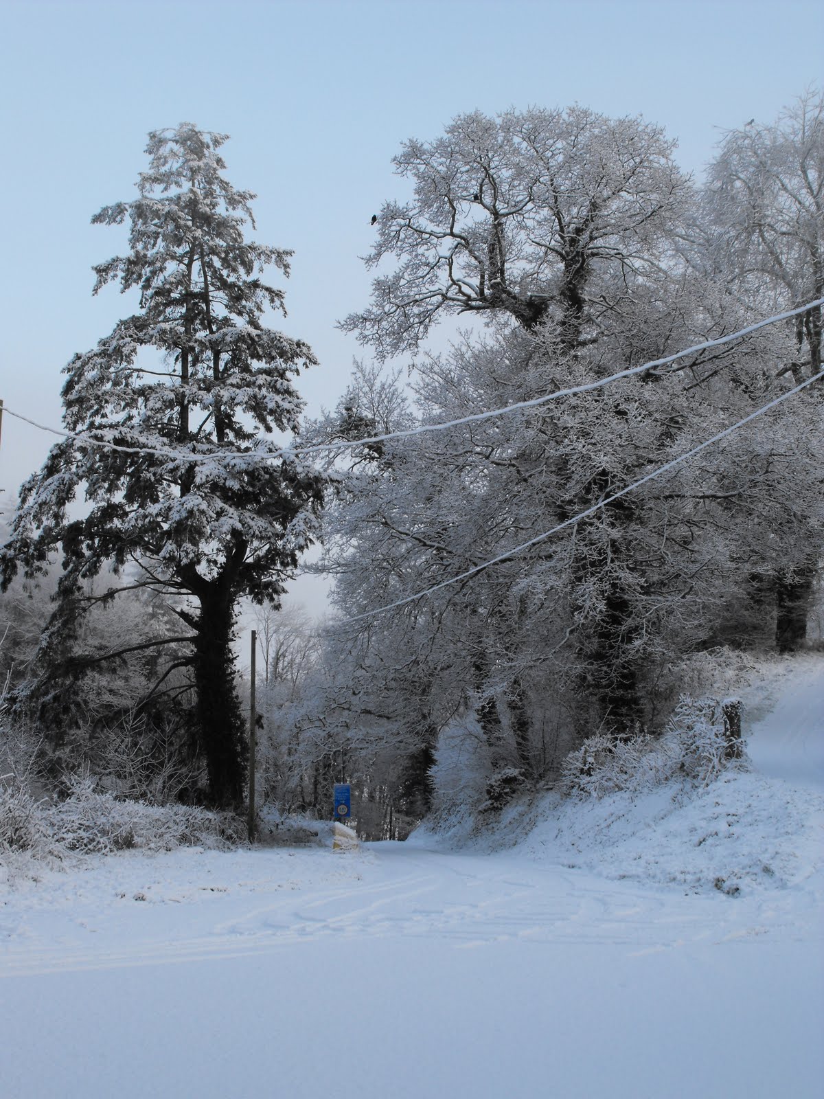 [2010_01022009Septcarewcastle0023.JPG]