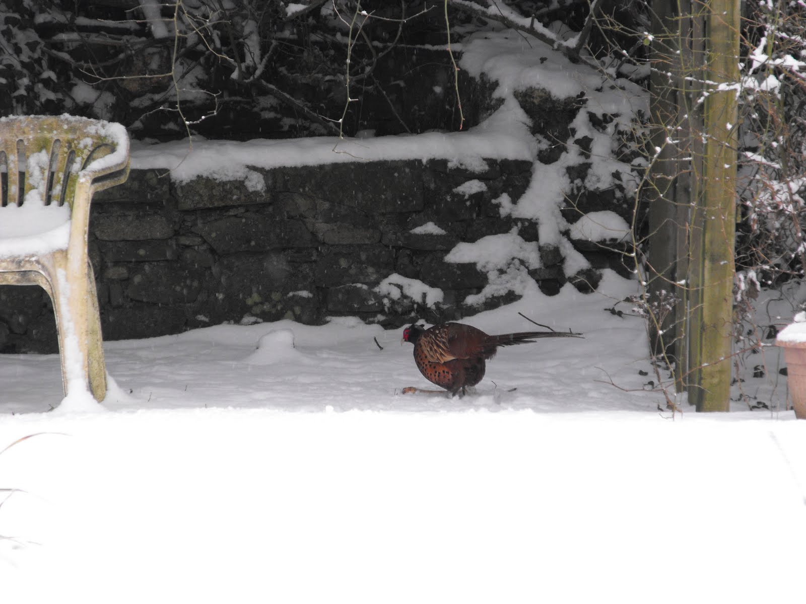 [2010_01042009Septcarewcastle0003.JPG]