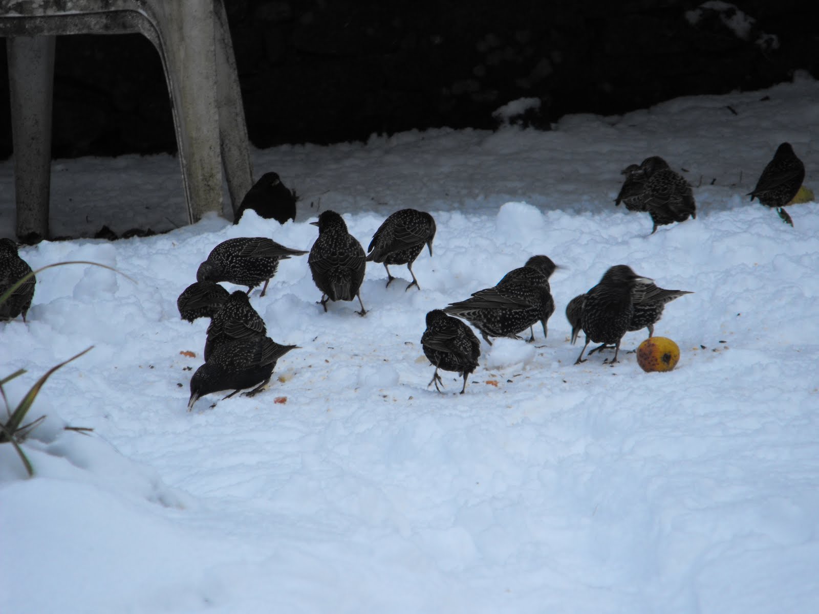 [2010_01062009Septcarewcastle0012.JPG]