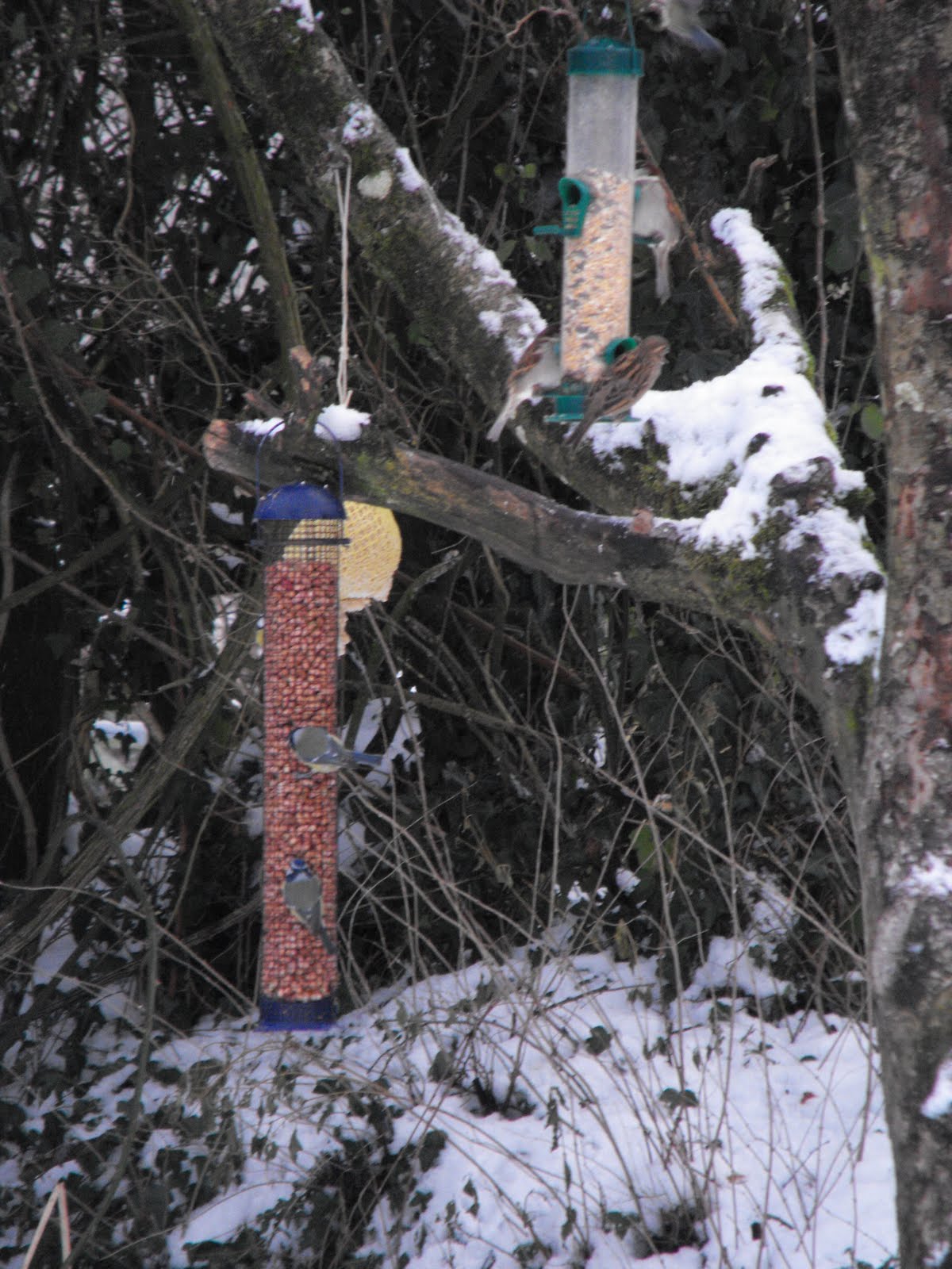 [2010_01062009Septcarewcastle0011.JPG]