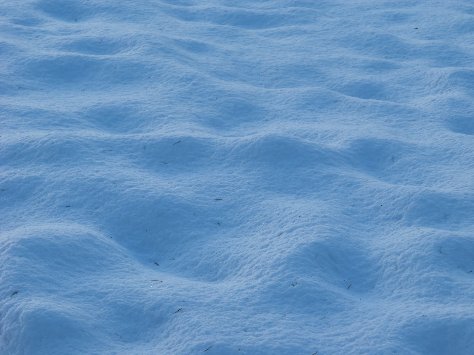 [2010_01062009Septcarewcastle0012.JPG]