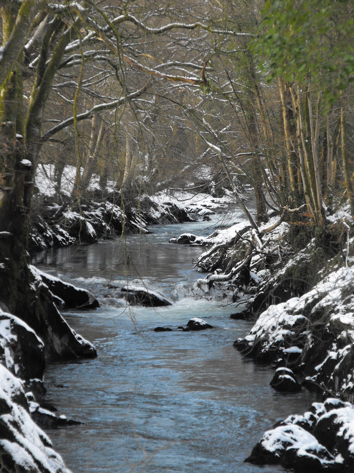 [2010_01062009Septcarewcastle0007.JPG]