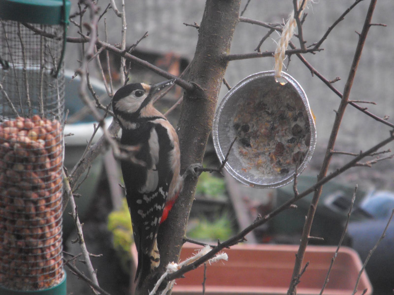 [2010_01162009Septcarewcastle0004.JPG]