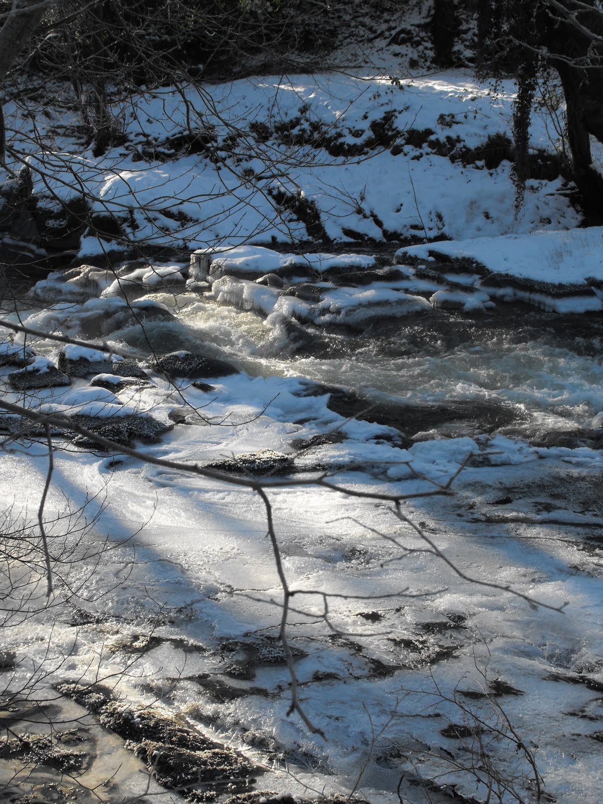 [2010_01082009Septcarewcastle0033.JPG]