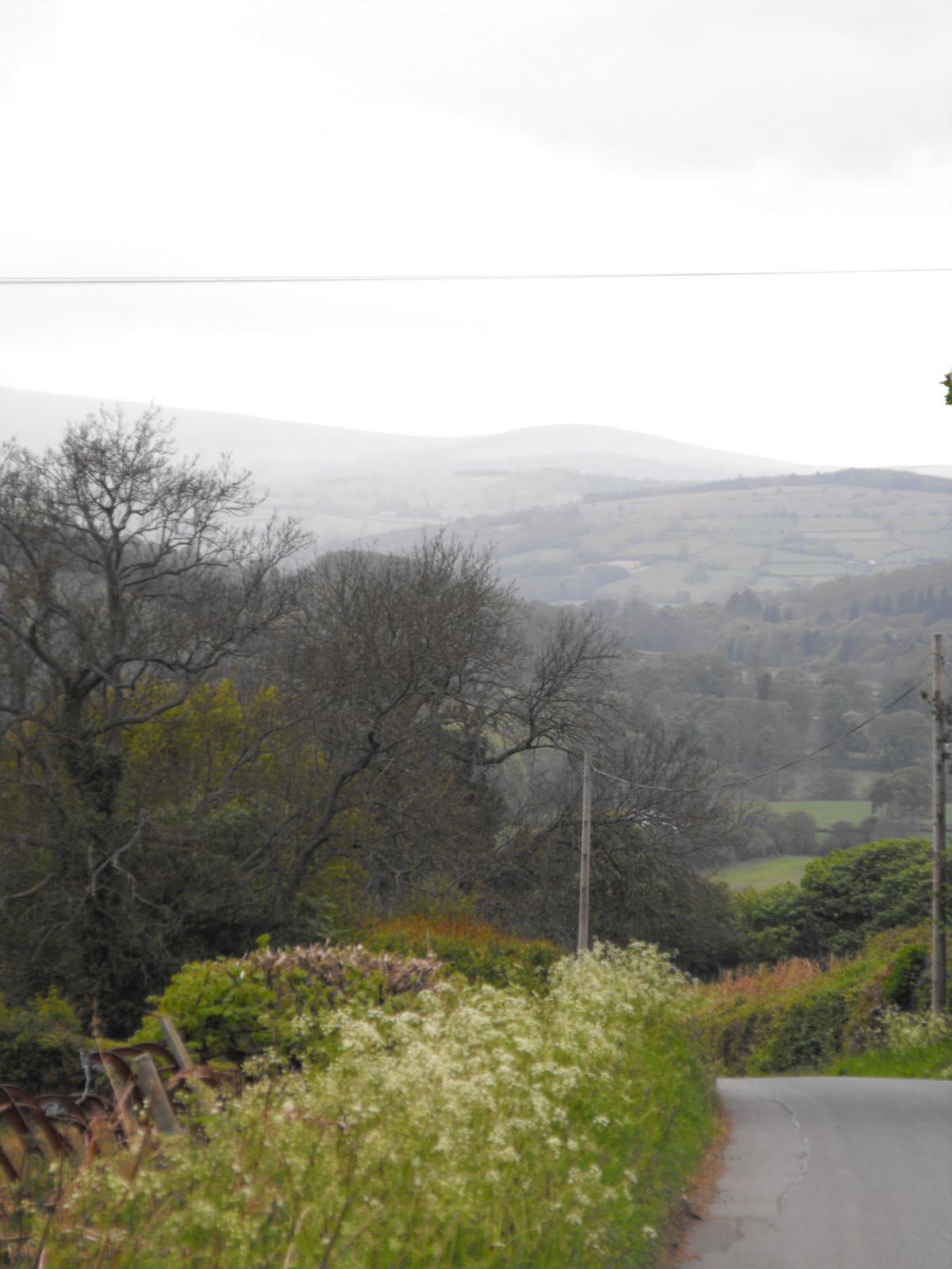 [2009_05045thJuly20070027.JPG]