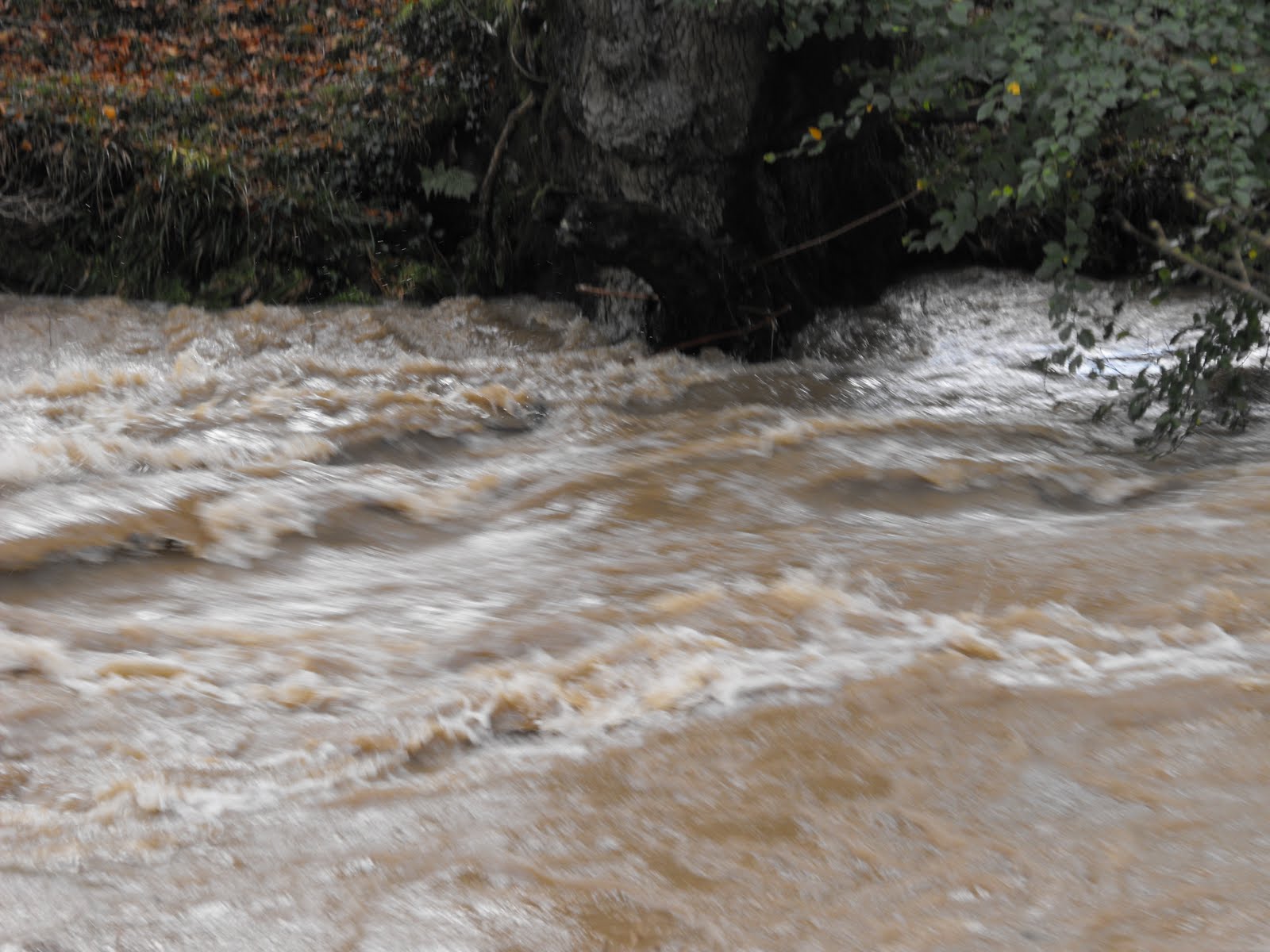 [2009_11012009Septcarewcastle0046.JPG]