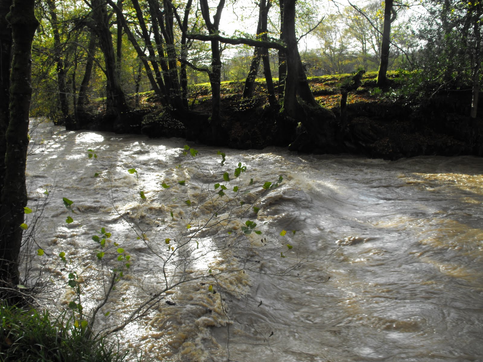 [2009_11012009Septcarewcastle0039.JPG]