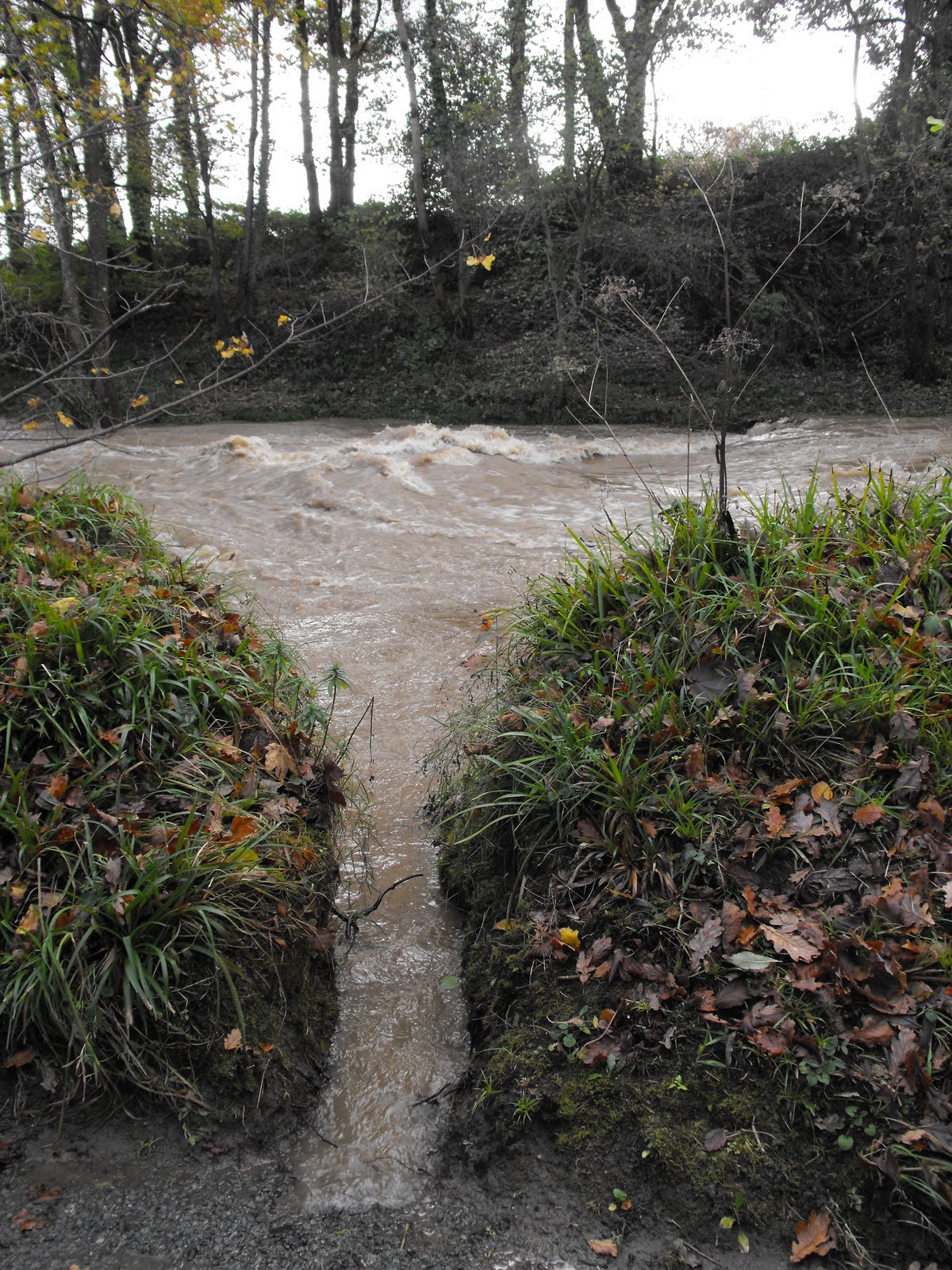 [2009_11012009Septcarewcastle0032.JPG]