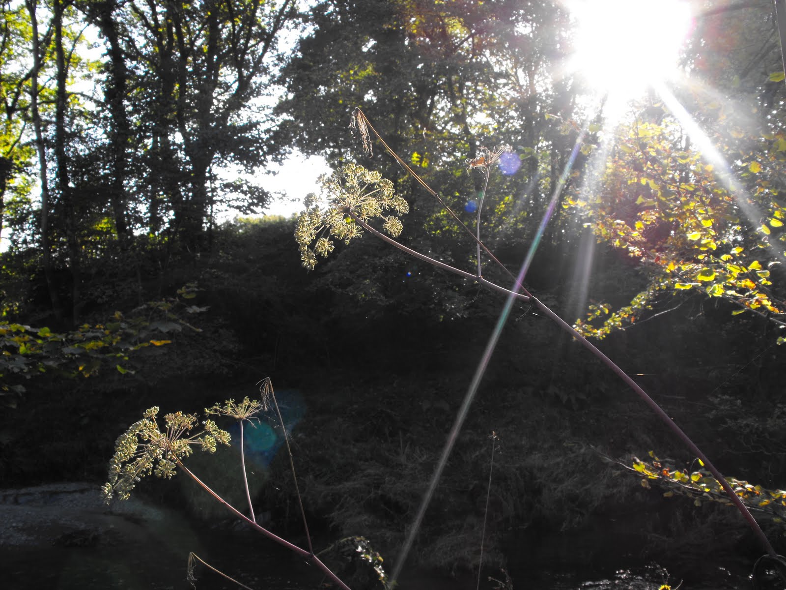 [2009_10082009Septcarewcastle0014.JPG]