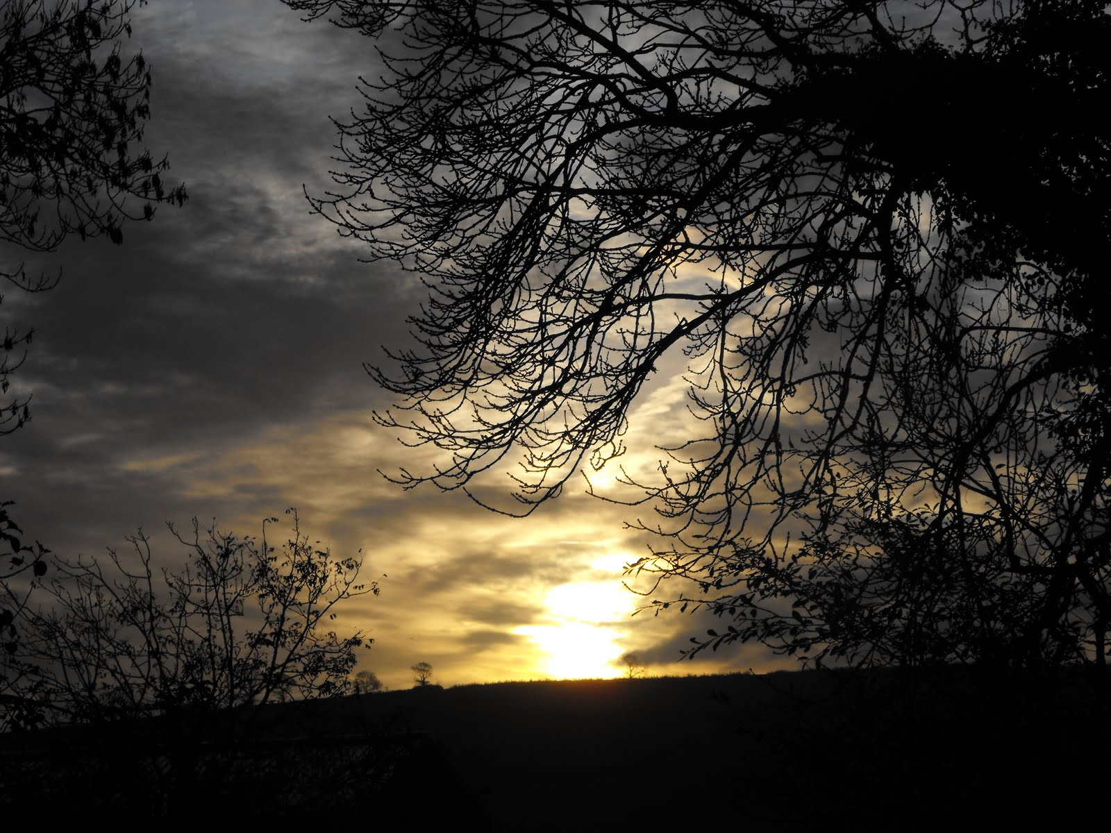 [2009_10252009Septcarewcastle0032.JPG]
