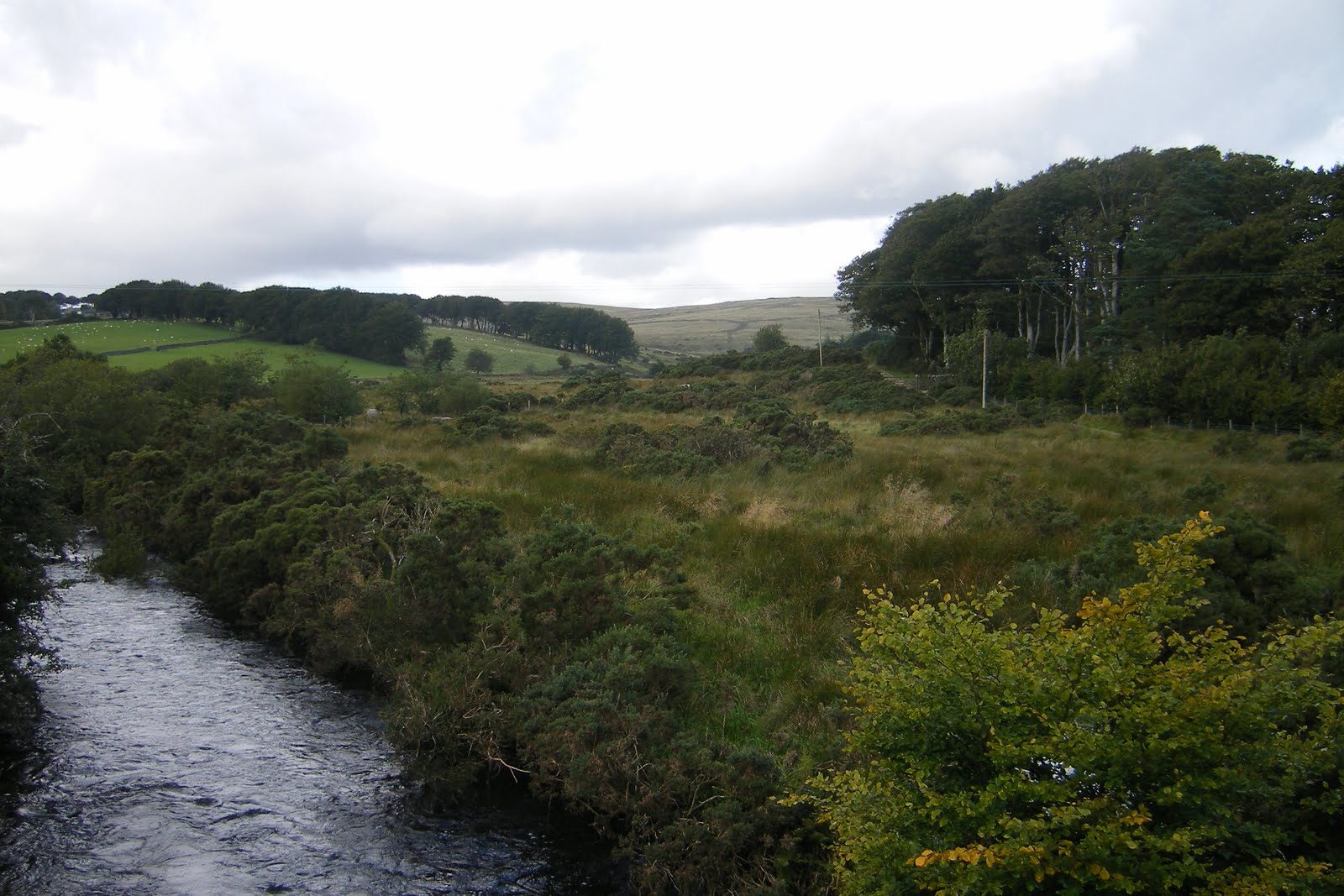 [2008_09025thJuly20070036.JPG]