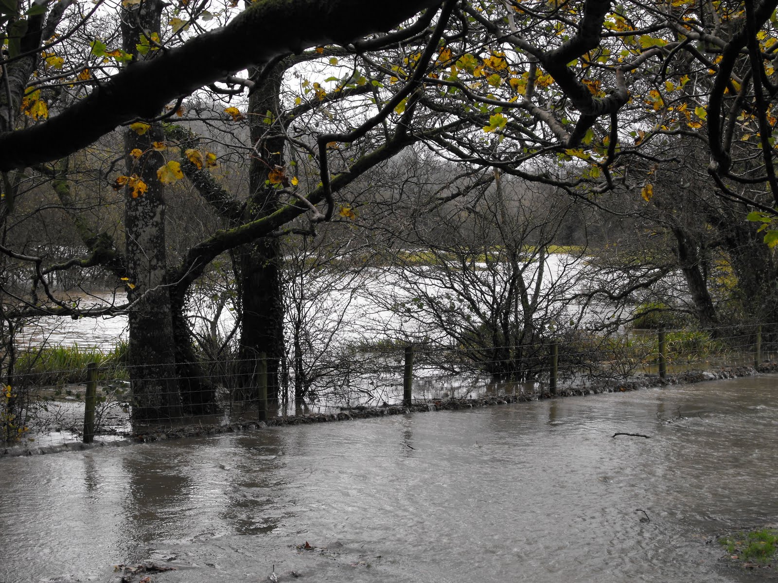 [2009_11142009Septcarewcastle0043.JPG]