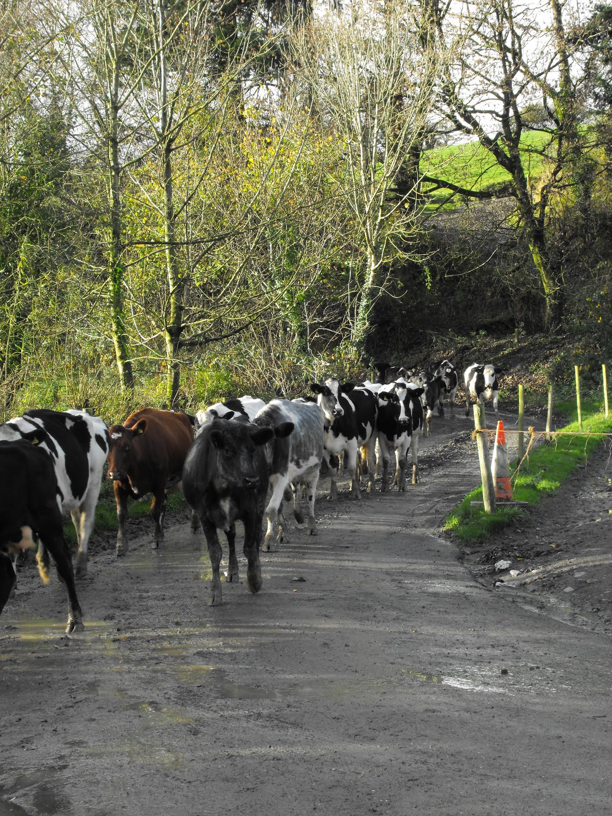 [2009_11042009Septcarewcastle0020.JPG]