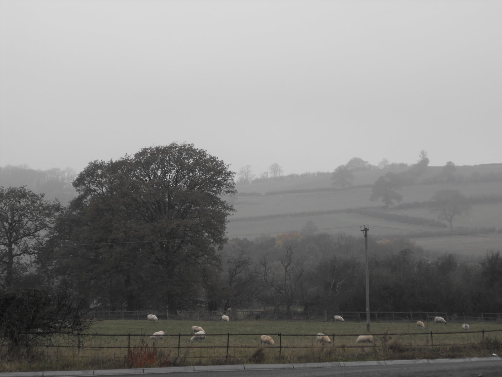 [2009_11092009Septcarewcastle0030.JPG]