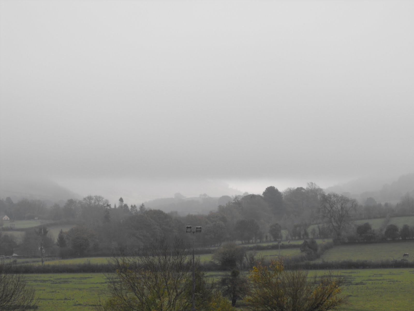 [2009_11092009Septcarewcastle0010.JPG]