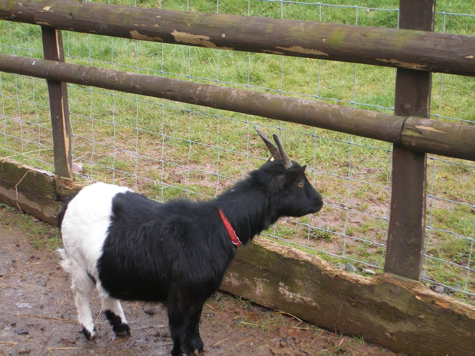 [2007_0322March03pics0006.JPG]