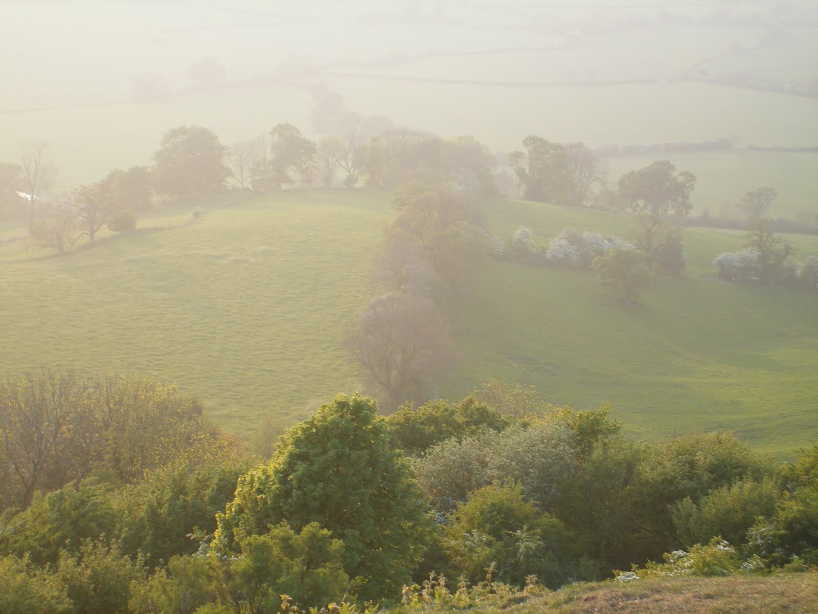 [2007_0506Pictures6May0093.JPG]