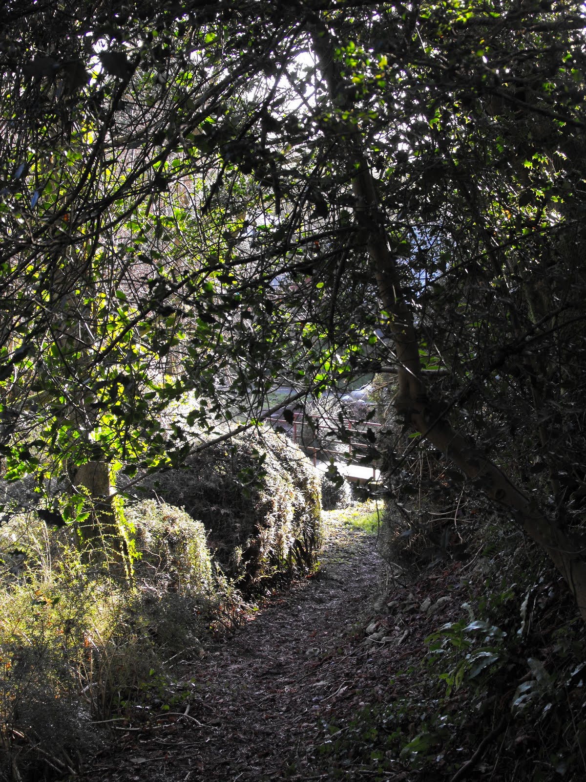 [2009_12122009Septcarewcastle0019.JPG]