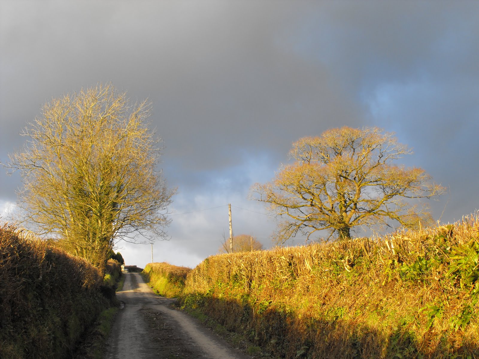 [2009_12172009Septcarewcastle0068.JPG]