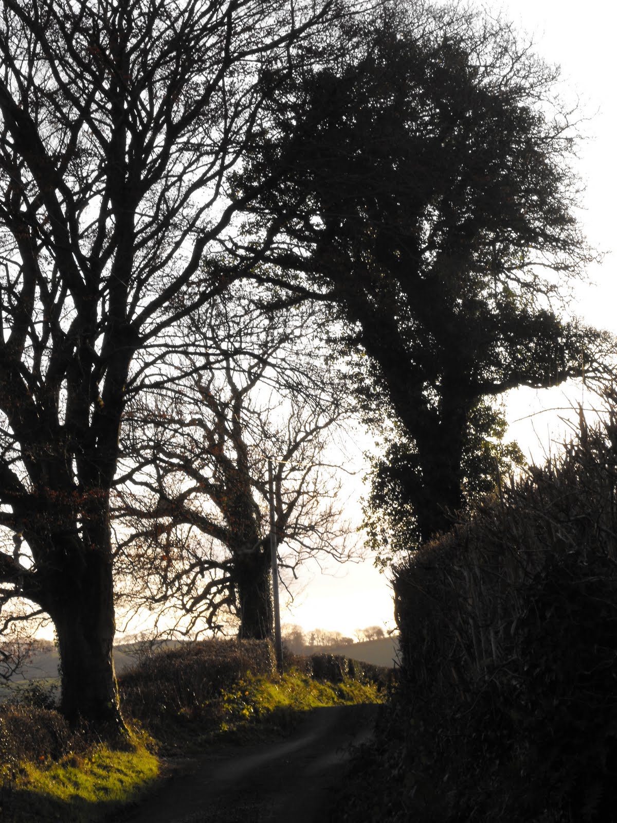 [2009_12172009Septcarewcastle0064.JPG]