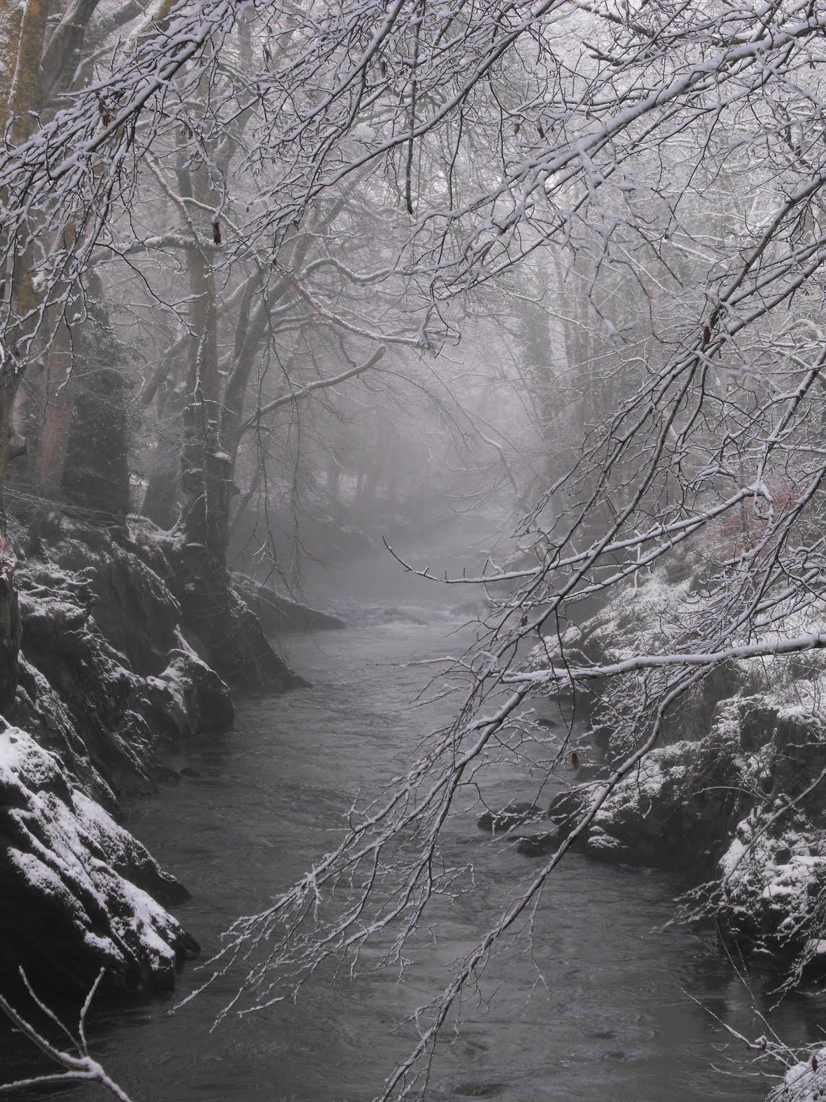 [2010_01022009Septcarewcastle0035.JPG]