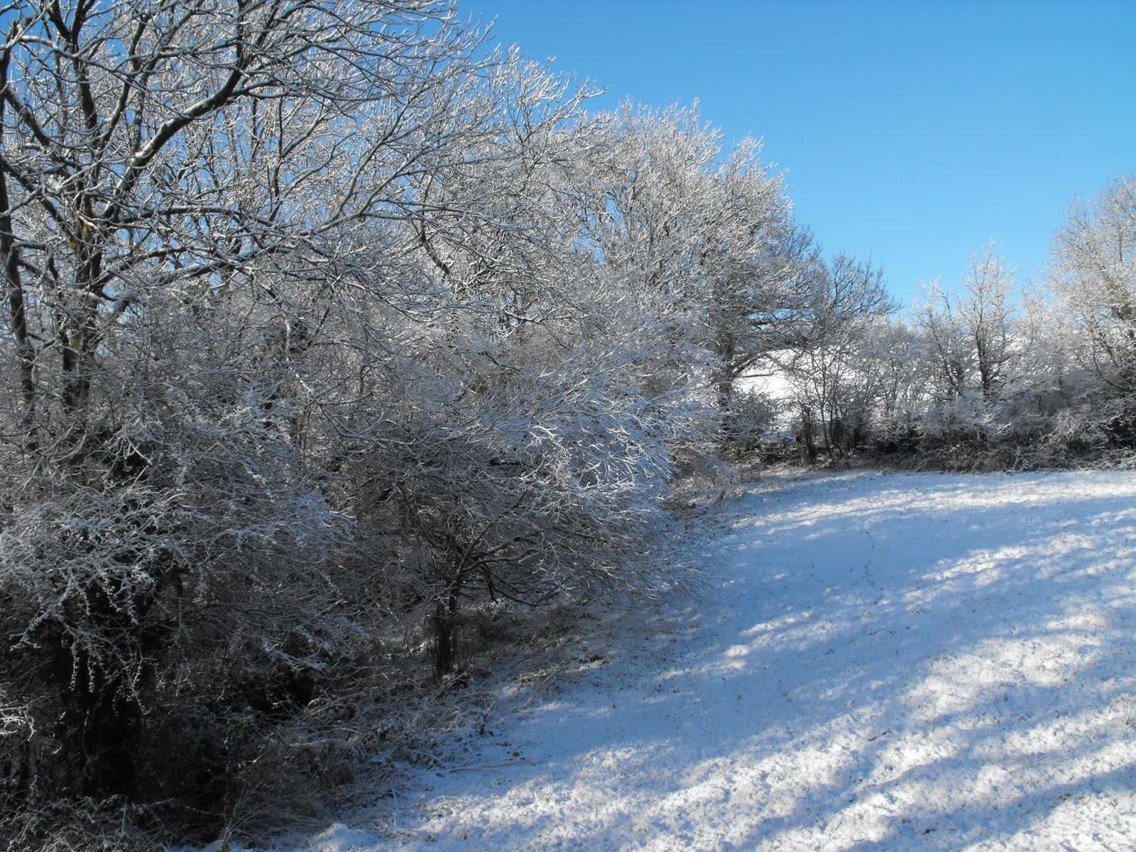 [2010_01022009Septcarewcastle0038.JPG]