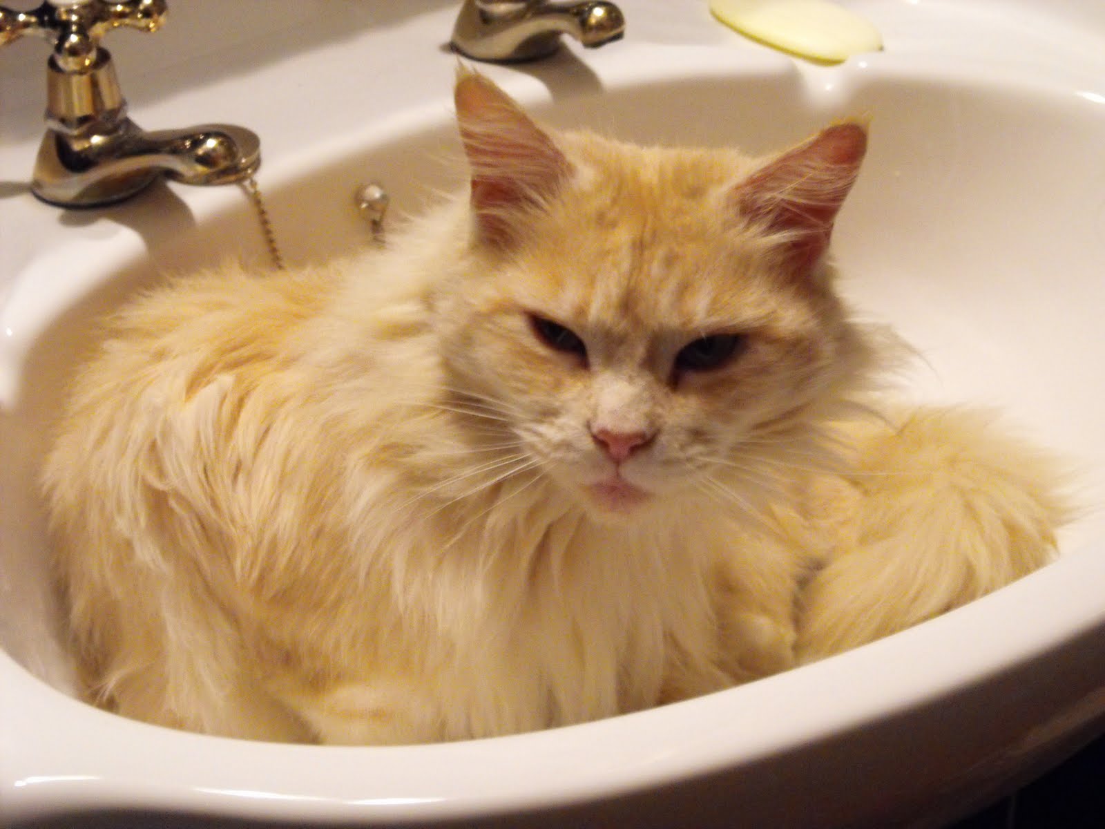 [2009_12312009Septcarewcastle0001.JPG]