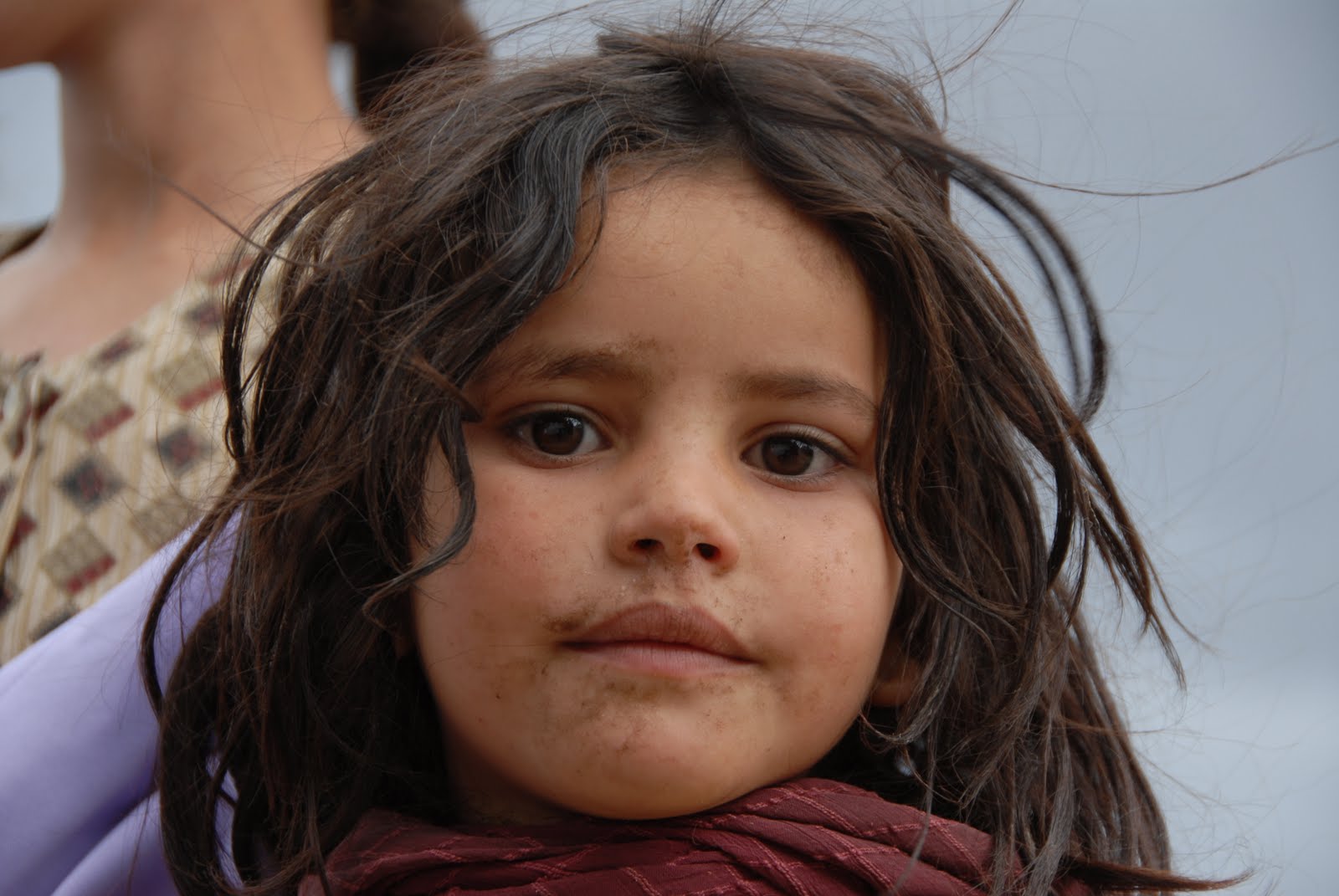 how-many-members-does-a-gym-usually-have